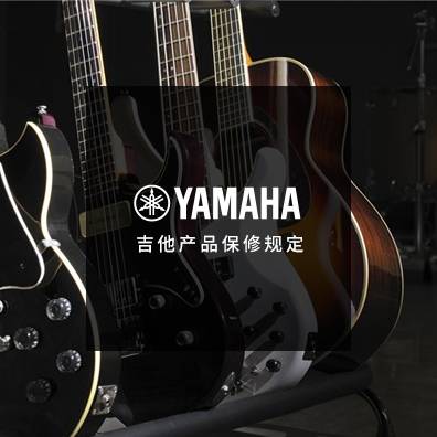 吉他、贝斯和音箱